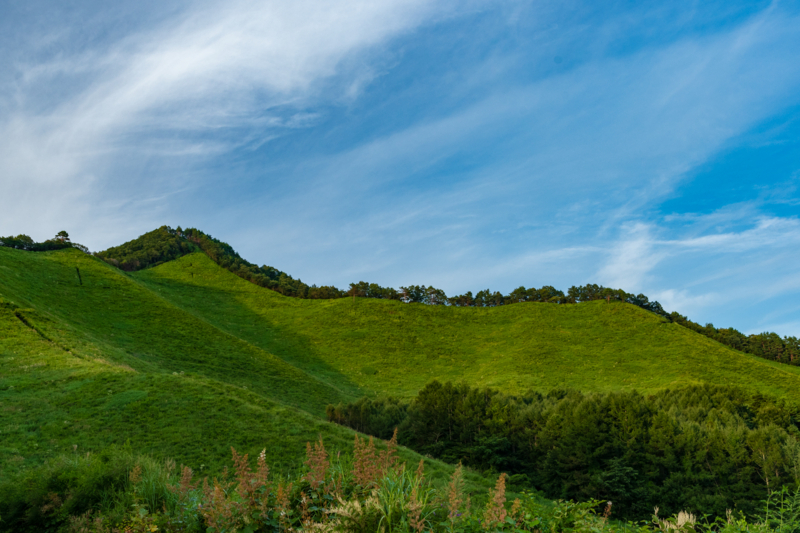 f:id:qshiro:20180819163517j:image:w360