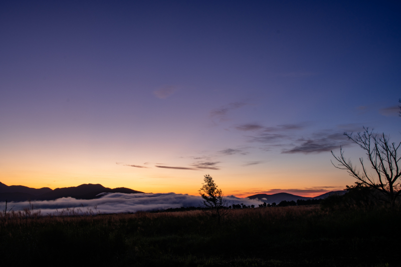 f:id:qshiro:20180819164545j:image:w360