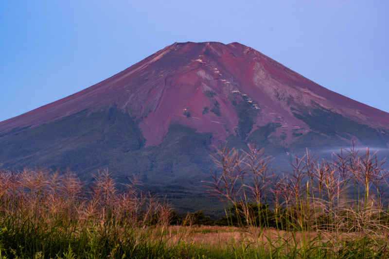 f:id:qshiro:20180819164551j:image:w360