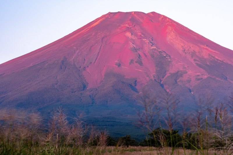 f:id:qshiro:20180819164604j:image:w740