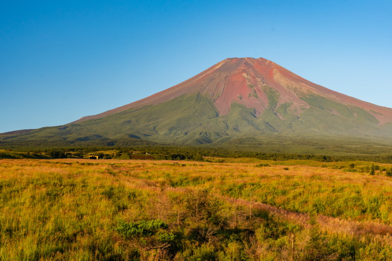 f:id:qshiro:20180819164659j:image:w360