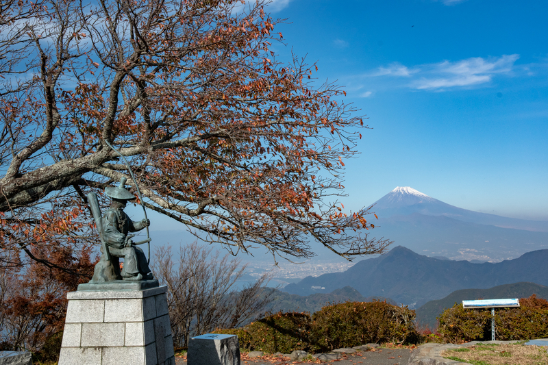 f:id:qshiro:20181128190151j:image:w360