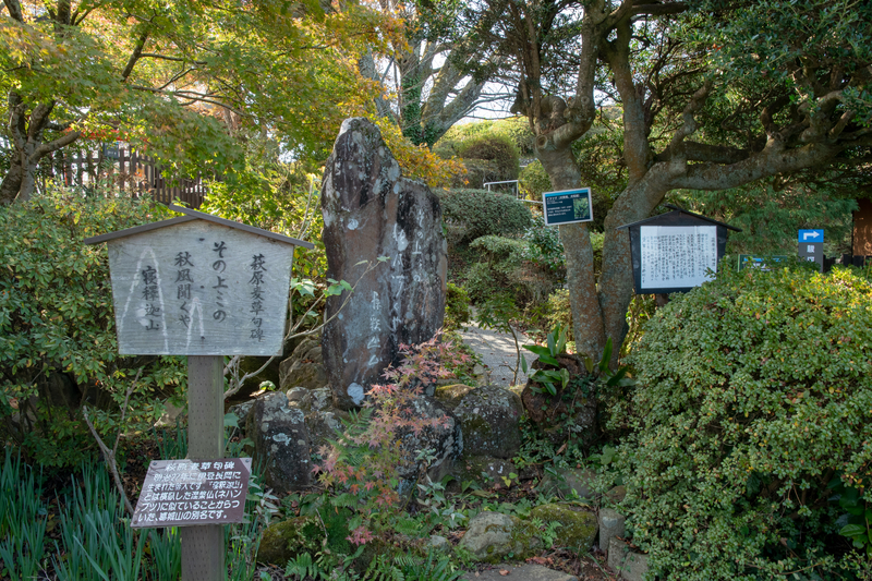 f:id:qshiro:20181128190407j:image:w360