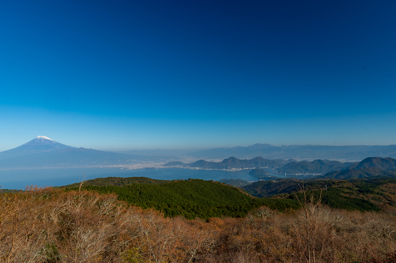 f:id:qshiro:20181128190502j:image:w360