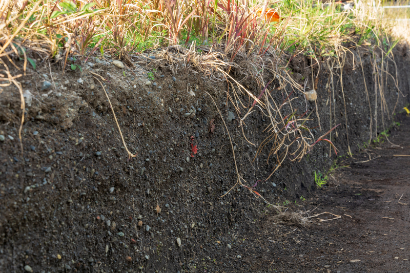 f:id:qshiro:20181203174645j:image:w360