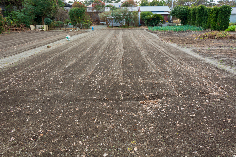 f:id:qshiro:20181203175139j:image:w360