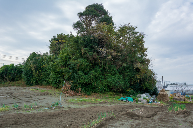 f:id:qshiro:20181203175247j:image:w360