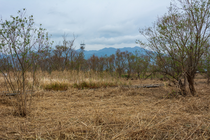 f:id:qshiro:20181203175258j:image:w360