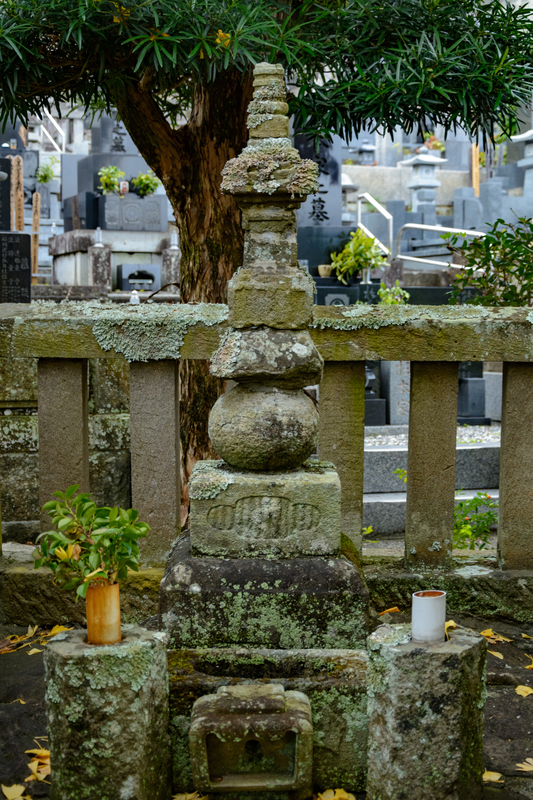 f:id:qshiro:20181206164551j:image:w260