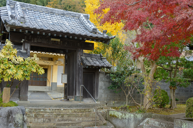 f:id:qshiro:20181206164613j:image:w360