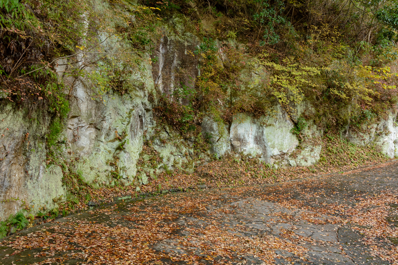 f:id:qshiro:20181206164950j:image:w360