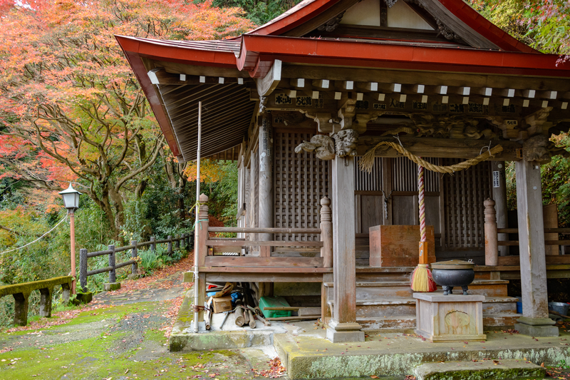 f:id:qshiro:20181206165139j:image:w360