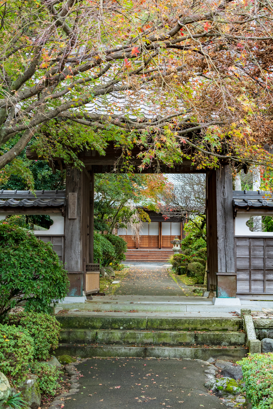 f:id:qshiro:20181206165250j:image:w260