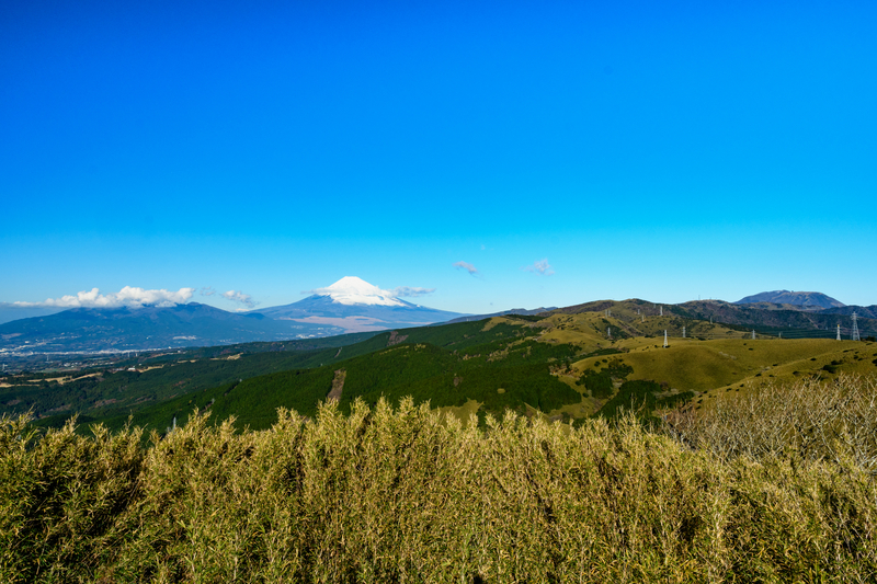 f:id:qshiro:20181214185325j:image:w360