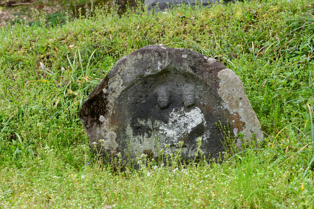 f:id:qshiro:20190322193641j:image:w360