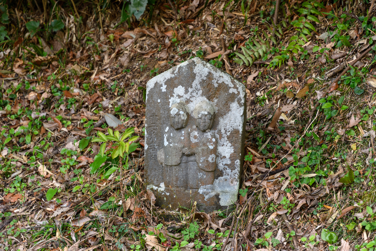 f:id:qshiro:20190322193649j:image:w360