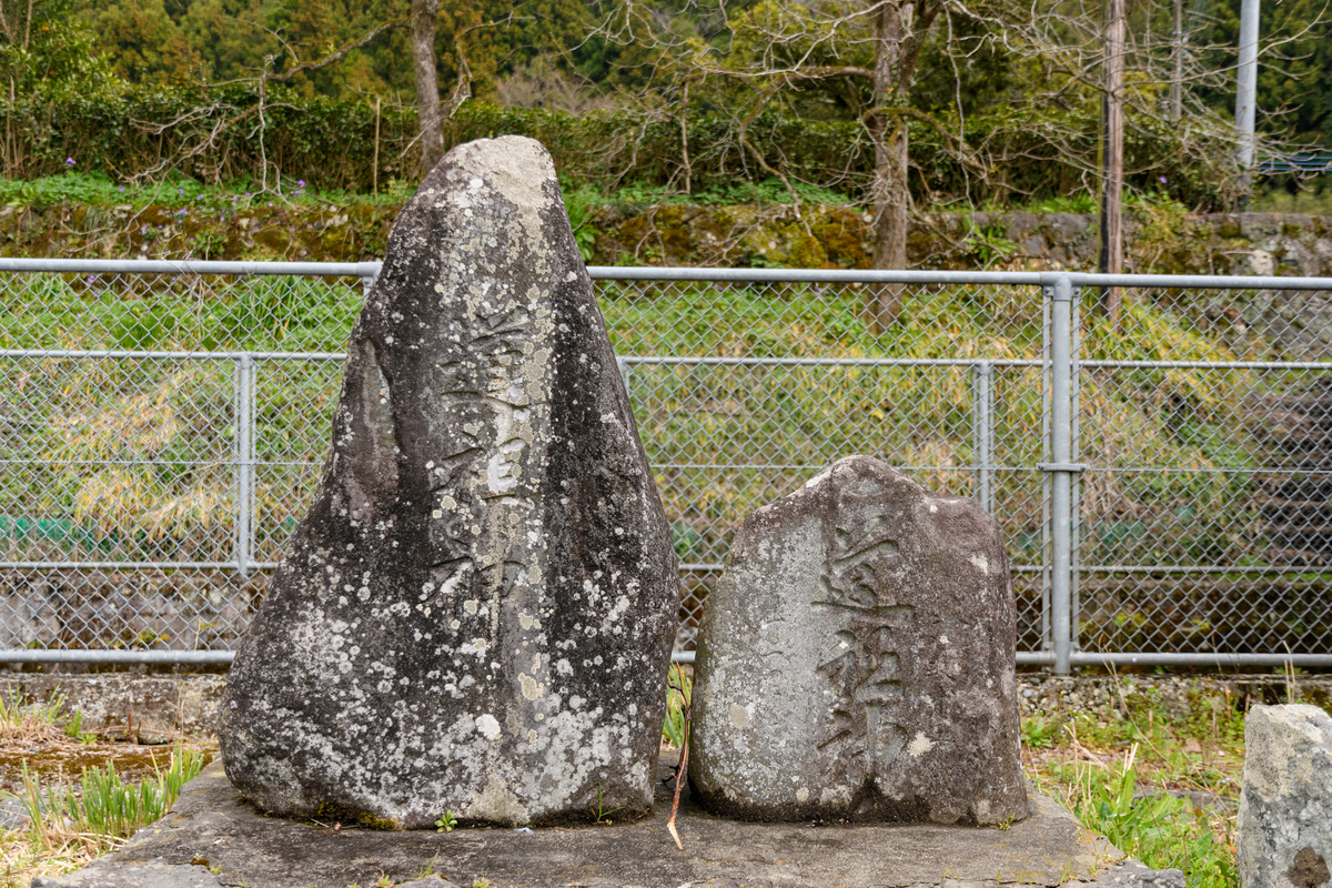 f:id:qshiro:20190322193741j:image:w360