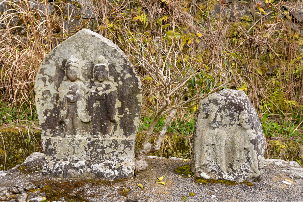 f:id:qshiro:20190322193755j:image:w360