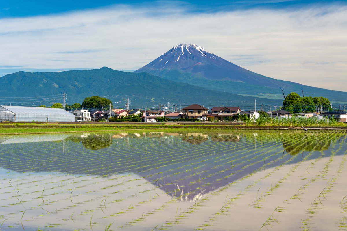 f:id:qshiro:20190617142538j:image:w360