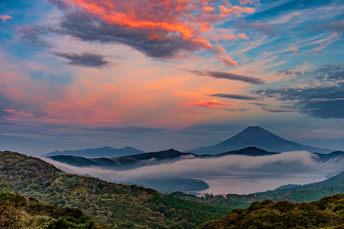 f:id:qshiro:20191003074834j:plain