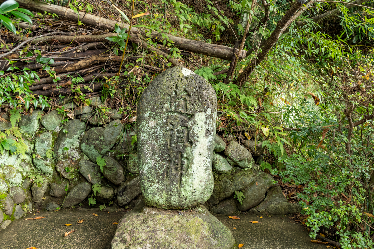 f:id:qshiro:20191021163600j:image:w360