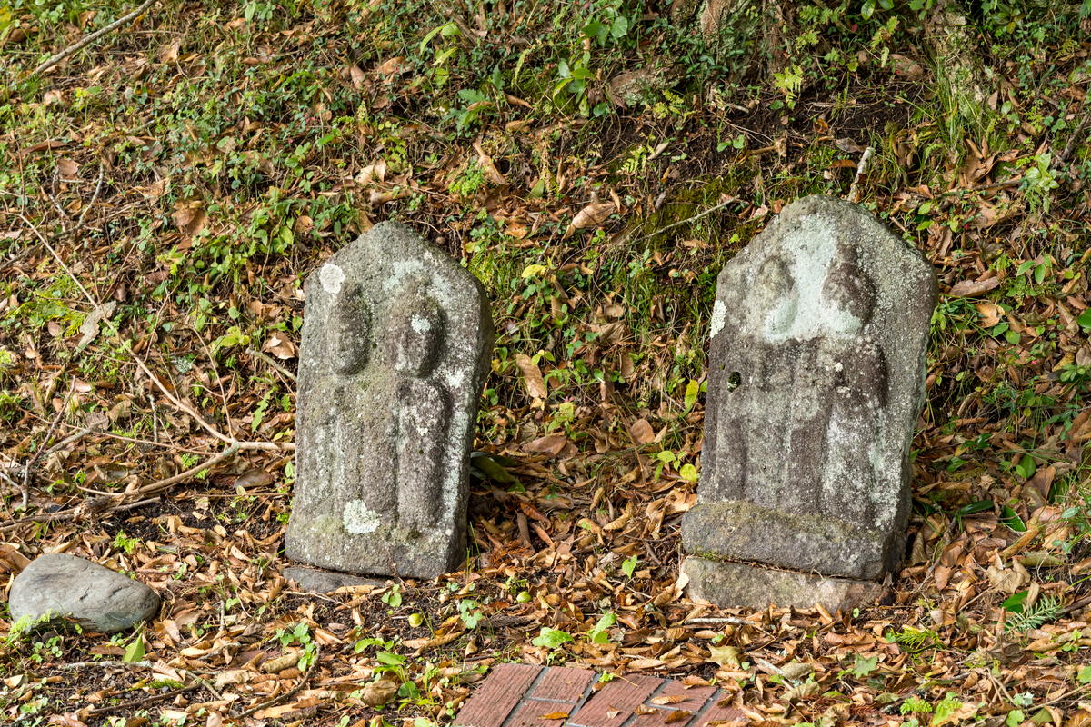 f:id:qshiro:20191021163638j:image:w360