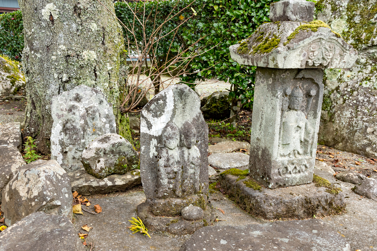 f:id:qshiro:20191021163645j:image:w360