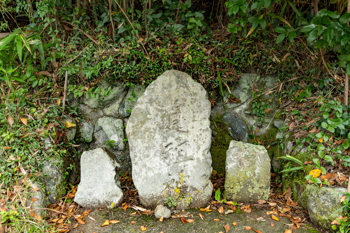 f:id:qshiro:20191021163657j:image:w360