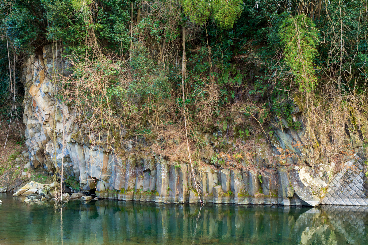 f:id:qshiro:20200212185556j:plain