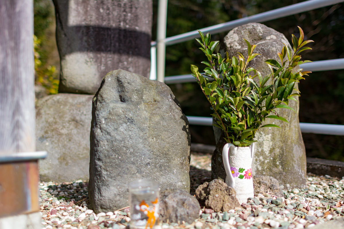 f:id:qshiro:20200212185608j:plain