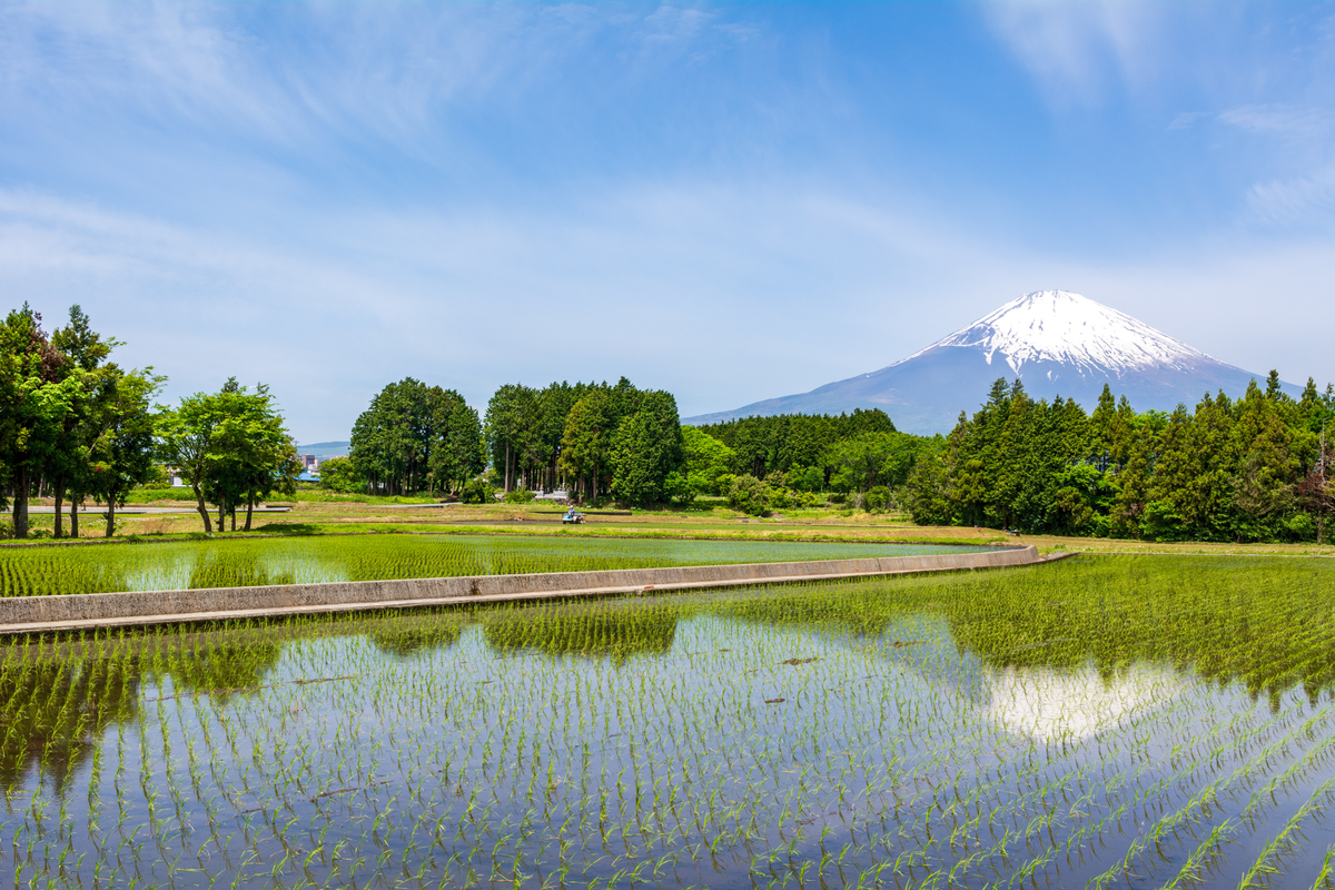 f:id:qshiro:20200515171131j:plain