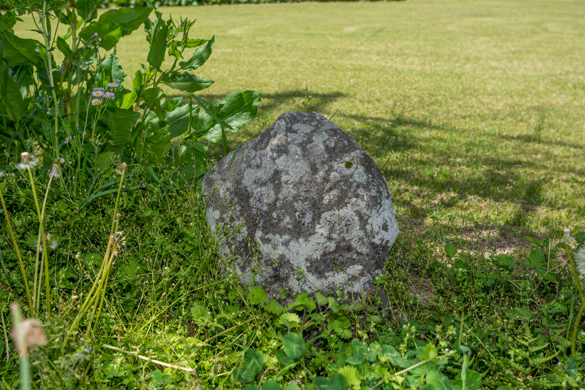 f:id:qshiro:20200515171137j:plain