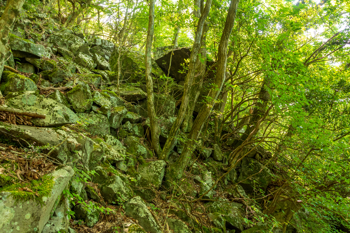 f:id:qshiro:20200605143549j:plain f:id:qshiro:20200605143549j:plain