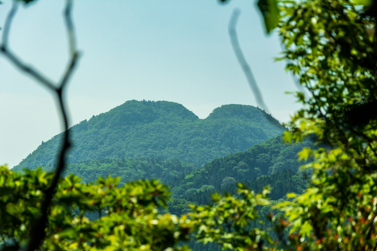 f:id:qshiro:20200605143601j:plain f:id:qshiro:20200605143601j:plain