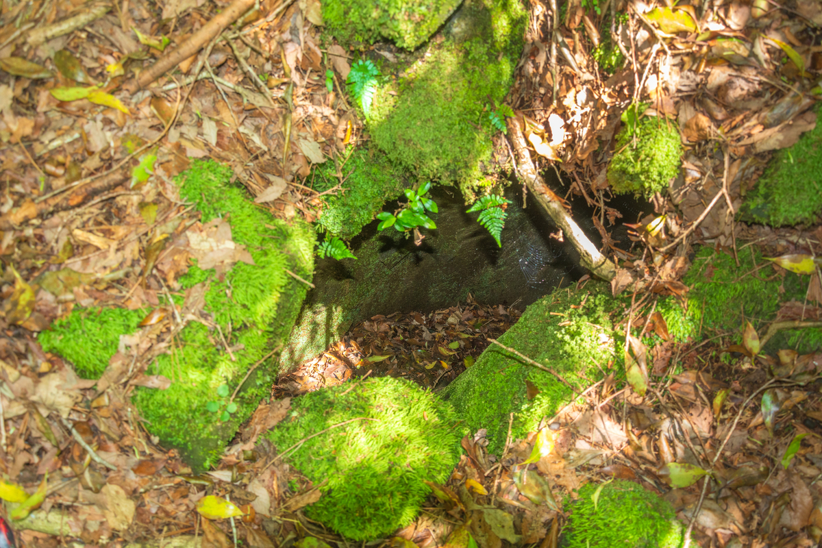 f:id:qshiro:20200605143613j:plain f:id:qshiro:20200605143613j:plain