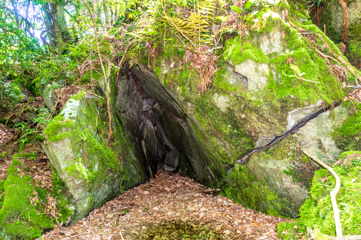 f:id:qshiro:20200605143628j:plain f:id:qshiro:20200605143628j:plain