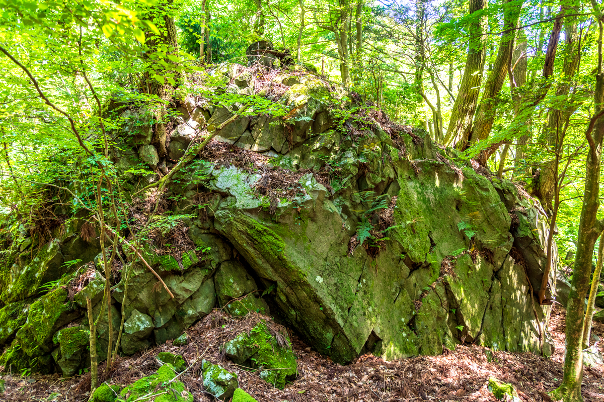 f:id:qshiro:20200605143634j:plain f:id:qshiro:20200605143634j:plain