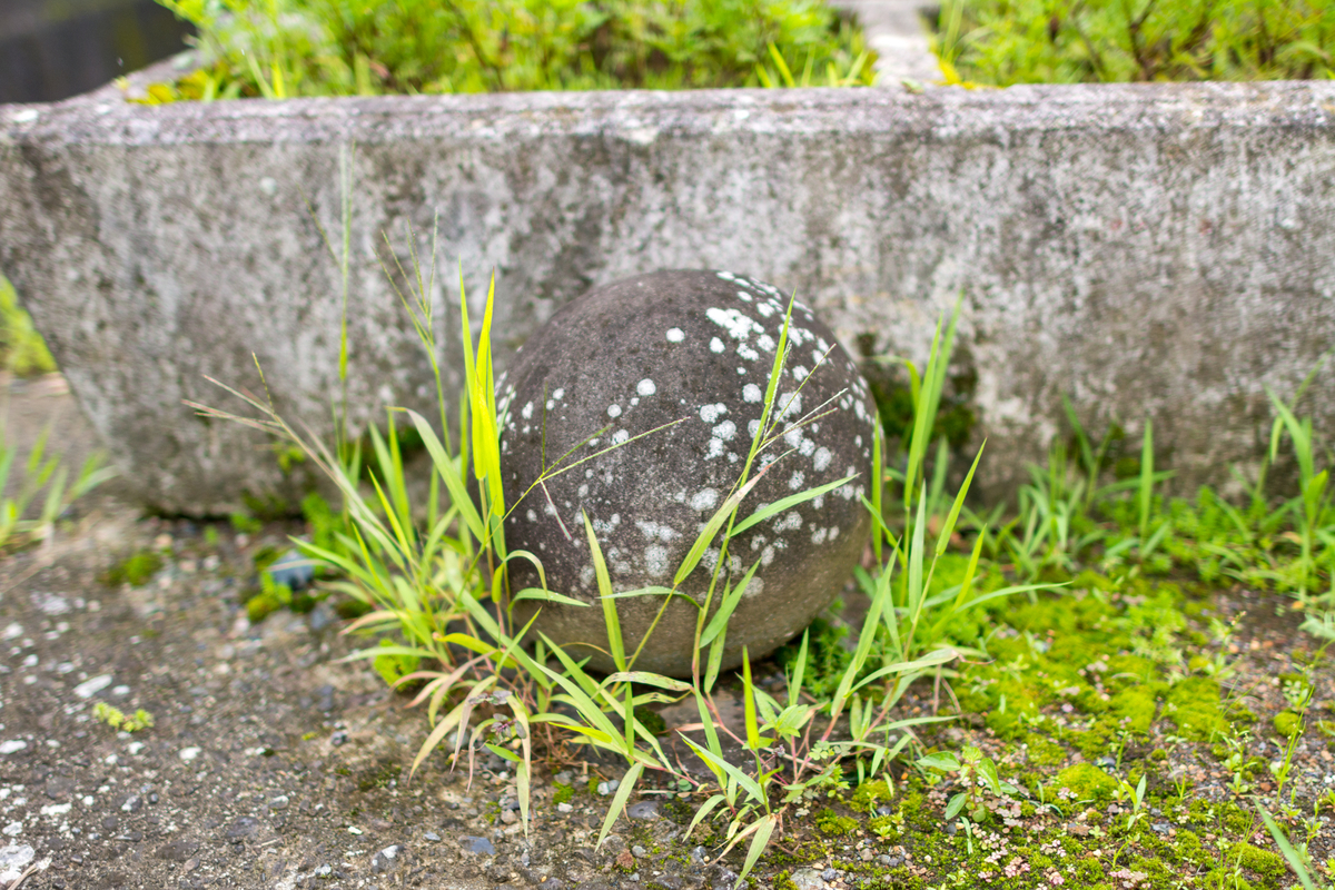 f:id:qshiro:20200728162402j:plain f:id:qshiro:20200728162402j:plain