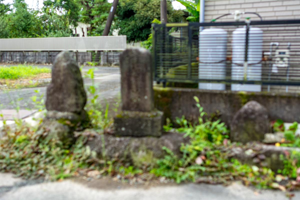 f:id:qshiro:20200731170933j:plain f:id:qshiro:20200731170933j:plain
