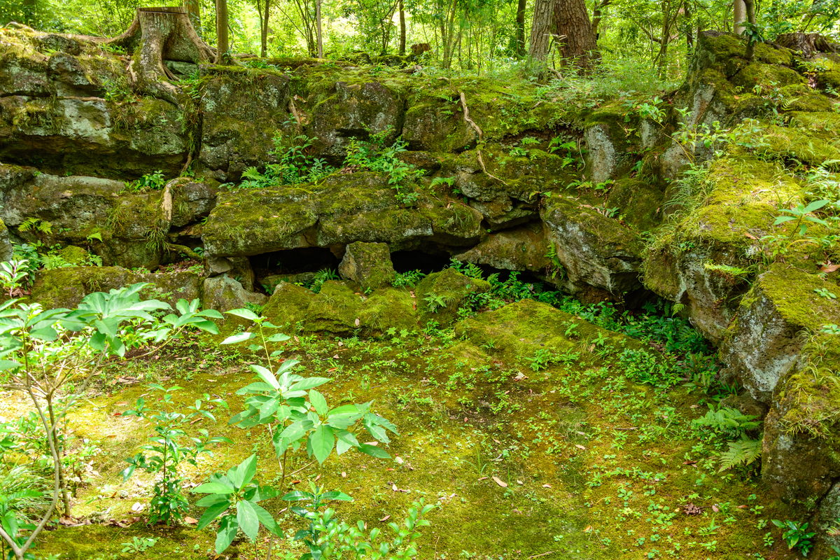 f:id:qshiro:20200811050134j:plain