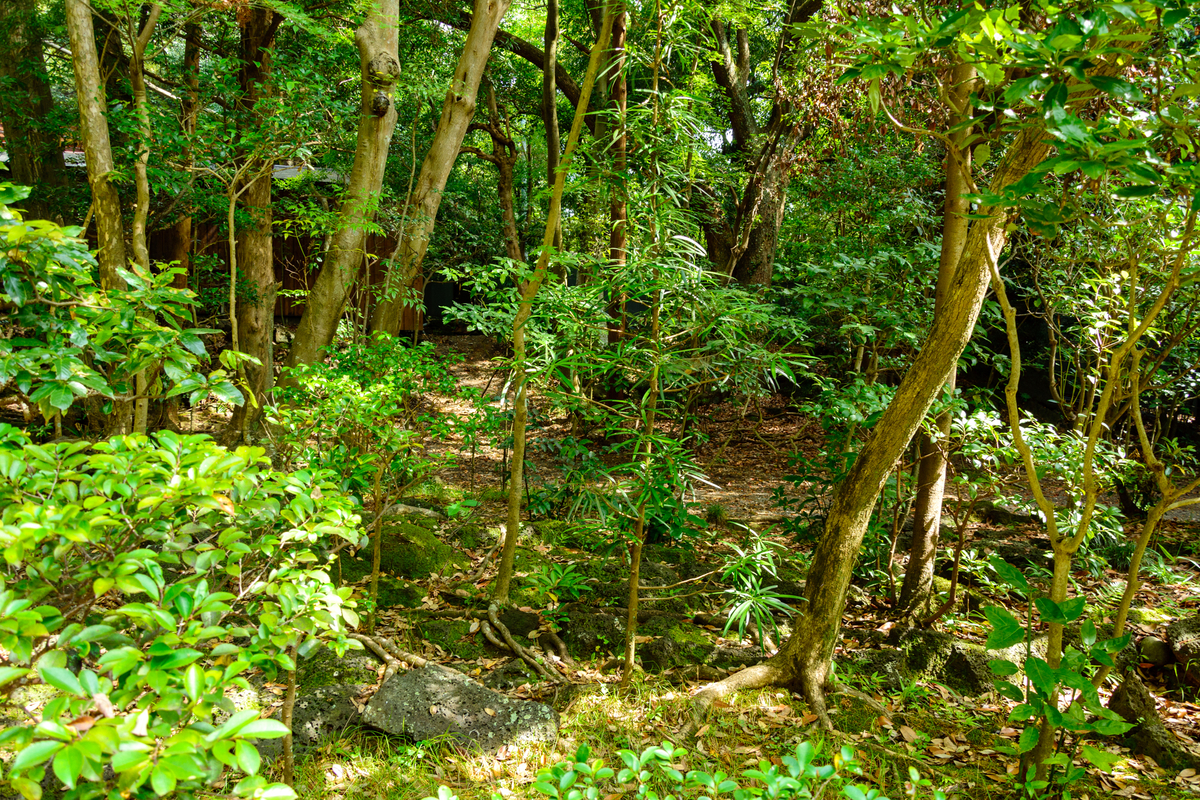 f:id:qshiro:20200811050147j:plain