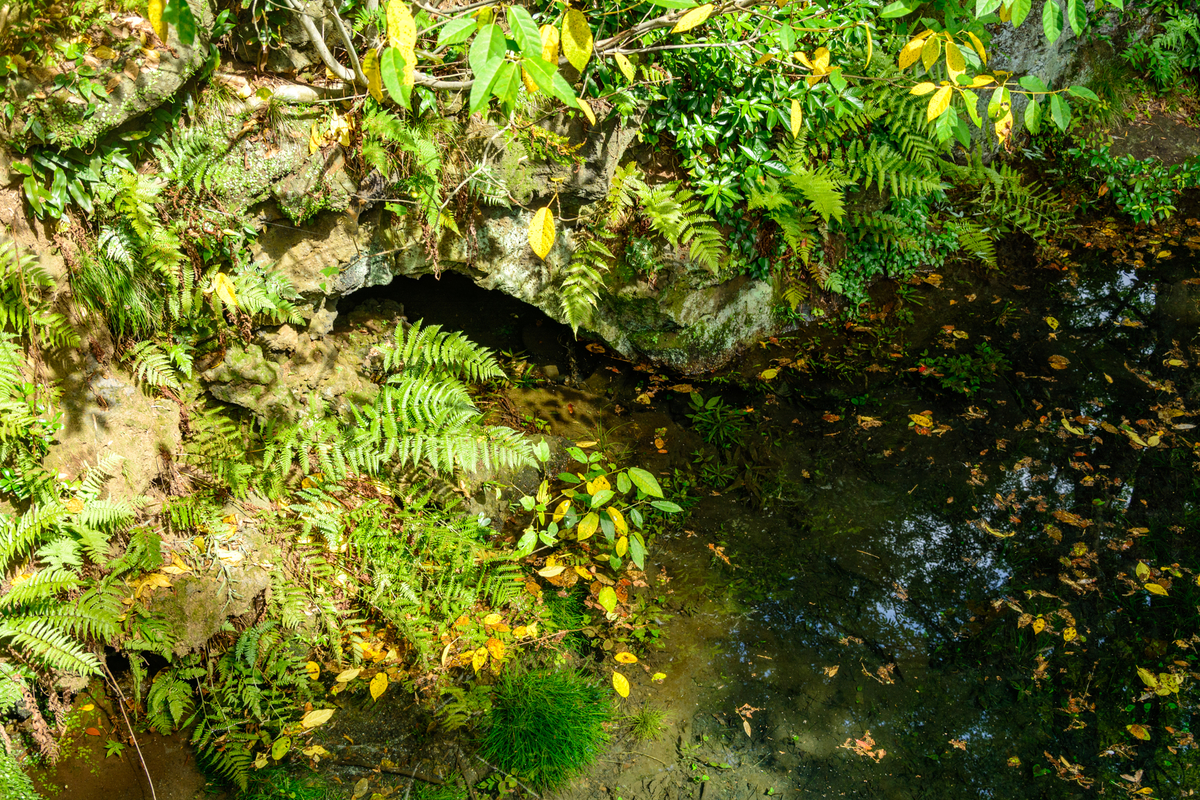 f:id:qshiro:20200811050200j:plain