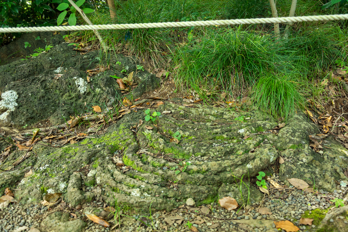 f:id:qshiro:20200811050219j:plain