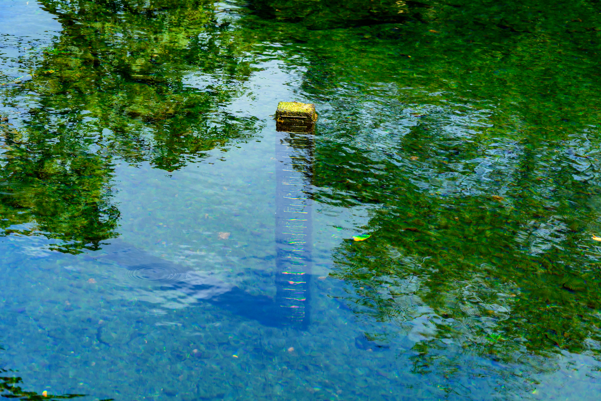 f:id:qshiro:20200811050225j:plain