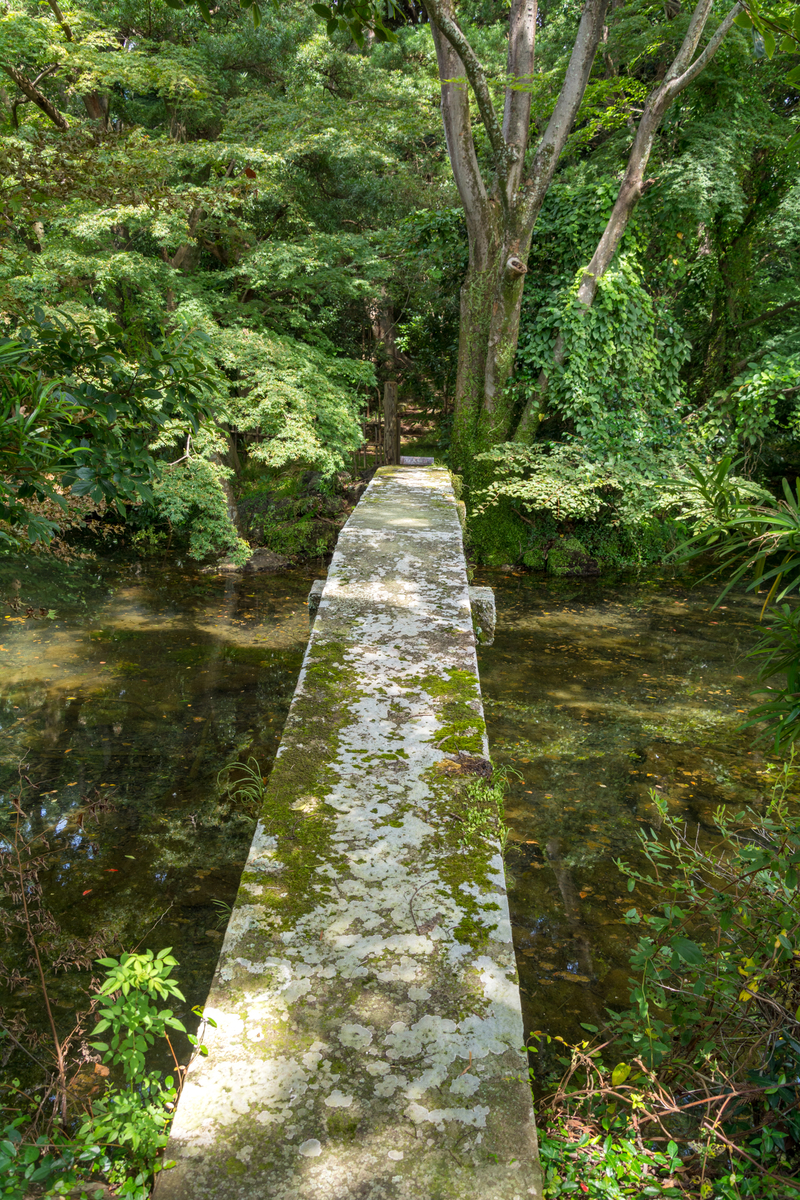 f:id:qshiro:20200811050239j:plain:w260