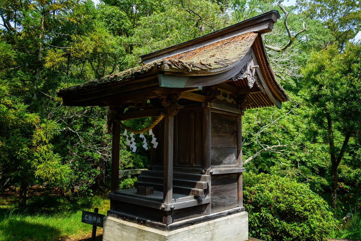 f:id:qshiro:20200811050245j:plain:w260