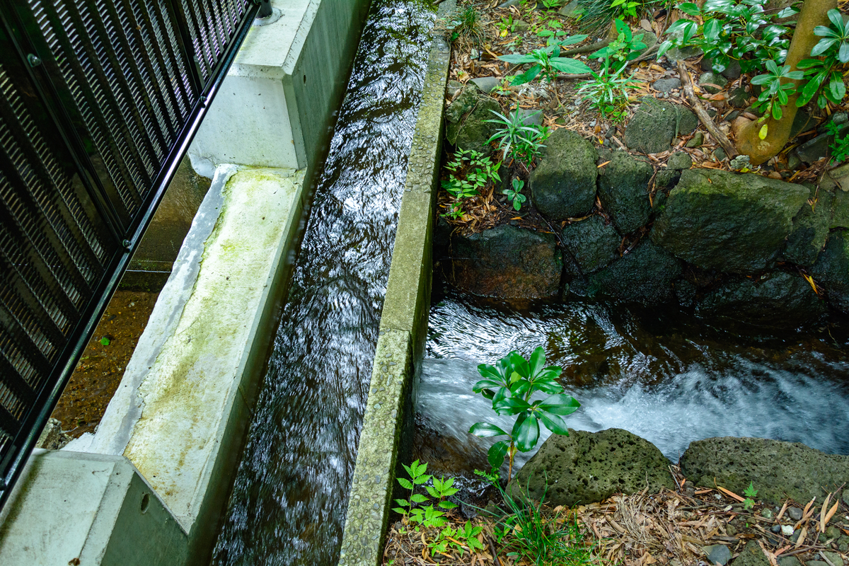 f:id:qshiro:20200811050304j:plain