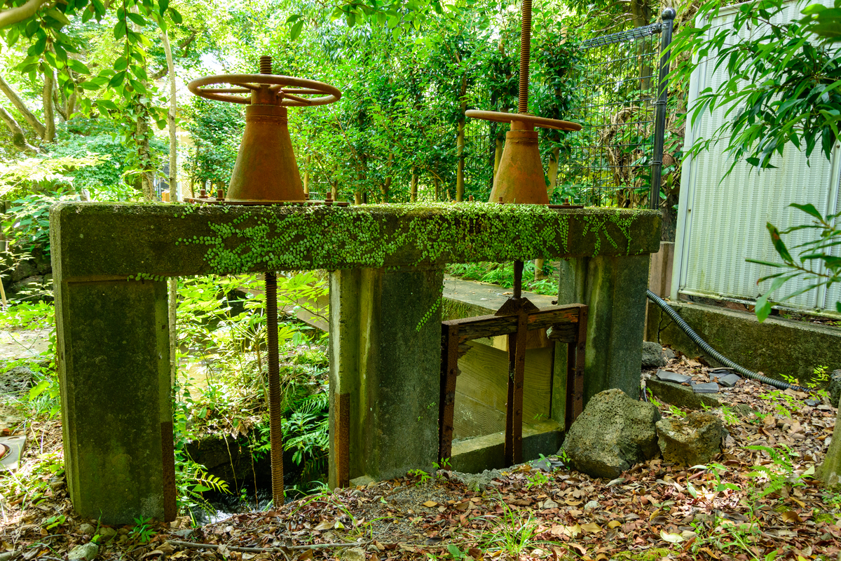 f:id:qshiro:20200811050310j:plain