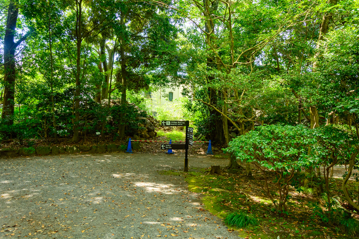 f:id:qshiro:20200811050316j:plain