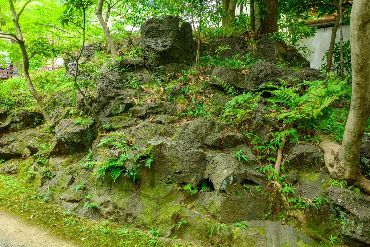 f:id:qshiro:20200811050329j:plain